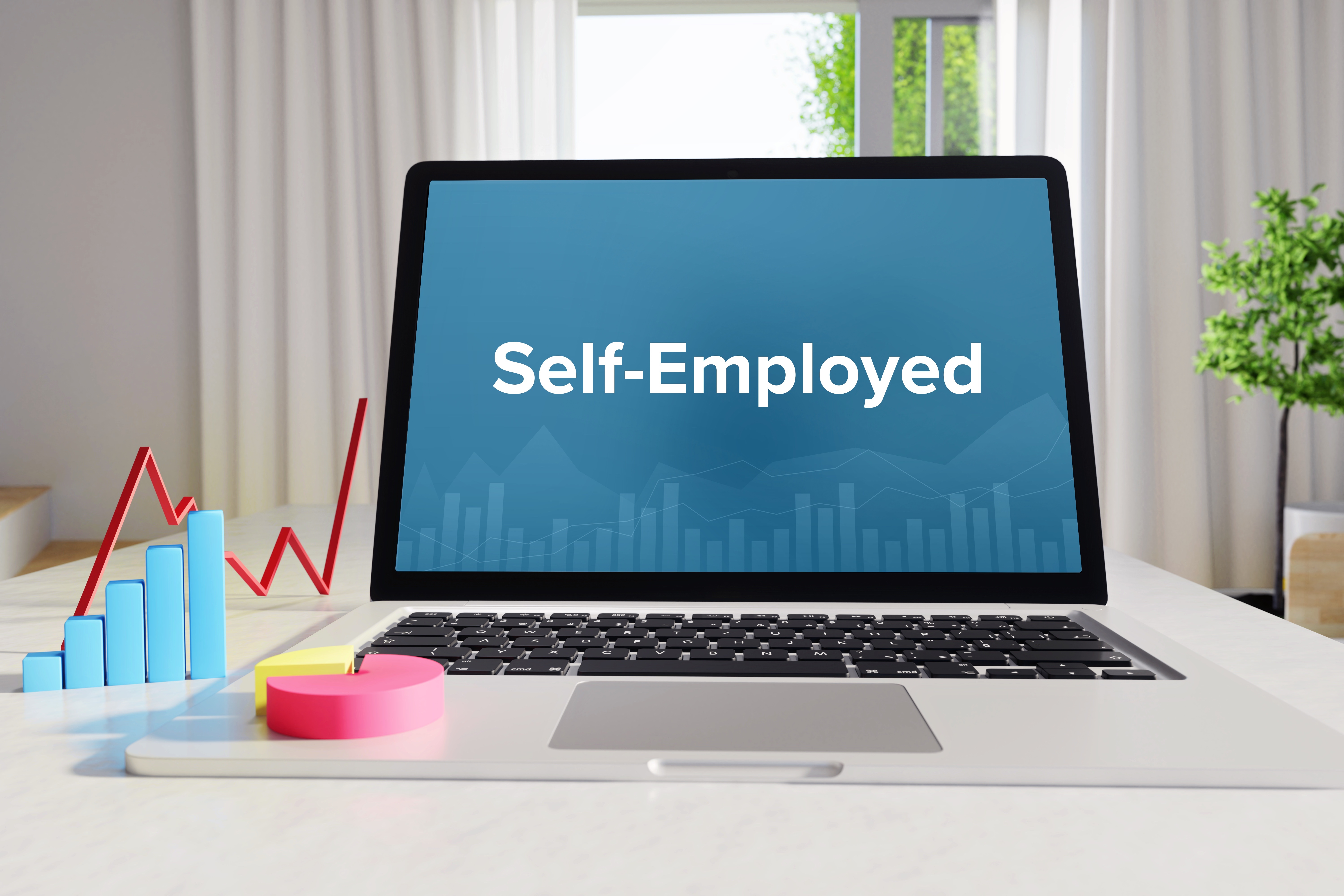 Self-Employed Grant : Self Employed Income Support Scheme Seiss Grant Extension